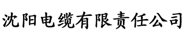 天天香蕉影院电缆厂logo